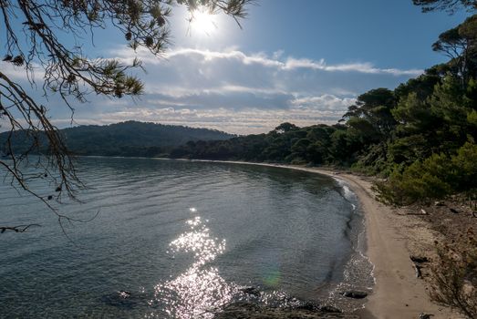 Discovery of the island of Porquerolles in summer. Deserted beaches and pine trees in this landscape of the French Riviera, Var.