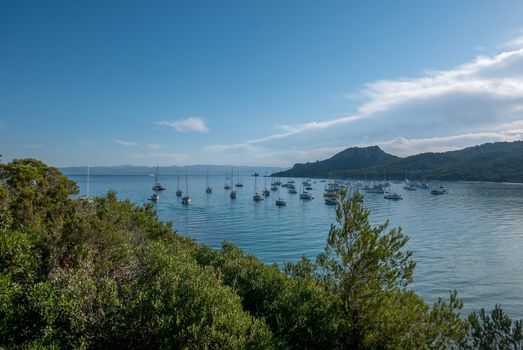 Discovery of the island of Porquerolles in summer. Deserted beaches and pine trees in this landscape of the French Riviera, Var.