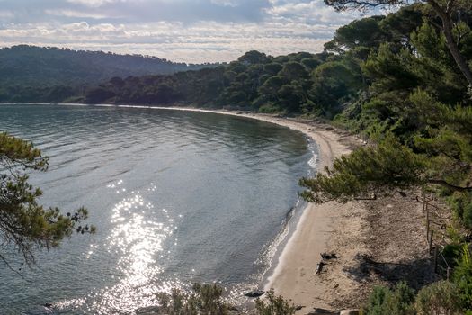 Discovery of the island of Porquerolles in summer. Deserted beaches and pine trees in this landscape of the French Riviera, Var.