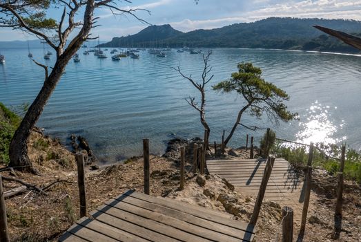 Discovery of the island of Porquerolles in summer. Deserted beaches and pine trees in this landscape of the French Riviera, Var.