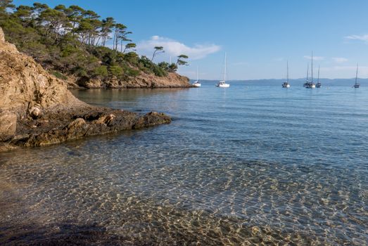 Discovery of the island of Porquerolles in summer. Deserted beaches and pine trees in this landscape of the French Riviera, Var.