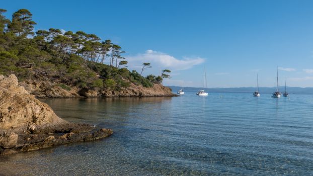 Discovery of the island of Porquerolles in summer. Deserted beaches and pine trees in this landscape of the French Riviera, Var.