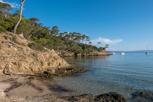 Discovery of the island of Porquerolles in summer. Deserted beaches and pine trees in this landscape of the French Riviera, Var.