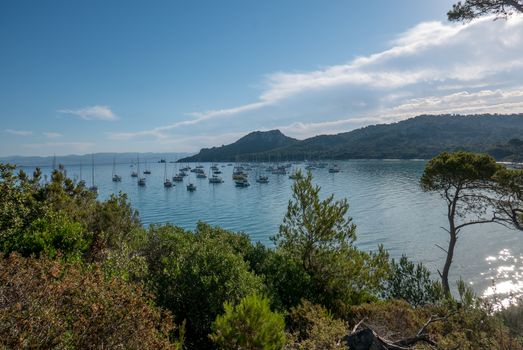 Discovery of the island of Porquerolles in summer. Deserted beaches and pine trees in this landscape of the French Riviera, Var.