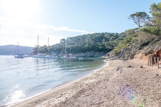 Discovery of the island of Porquerolles in summer. Deserted beaches and pine trees in this landscape of the French Riviera, Var.