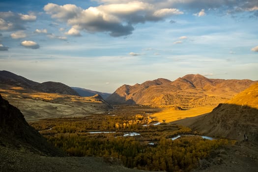 The altai mountains. The landscape of nature on the Altai mountains and in the gorges between the mountains.