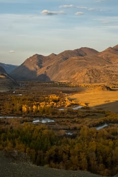 The altai mountains. The landscape of nature on the Altai mountains and in the gorges between the mountains.