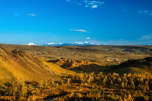 The altai mountains. The landscape of nature on the Altai mountains and in the gorges between the mountains.