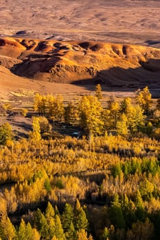 The altai mountains. The landscape of nature on the Altai mountains and in the gorges between the mountains.