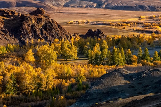 The altai mountains. The landscape of nature on the Altai mountains and in the gorges between the mountains.