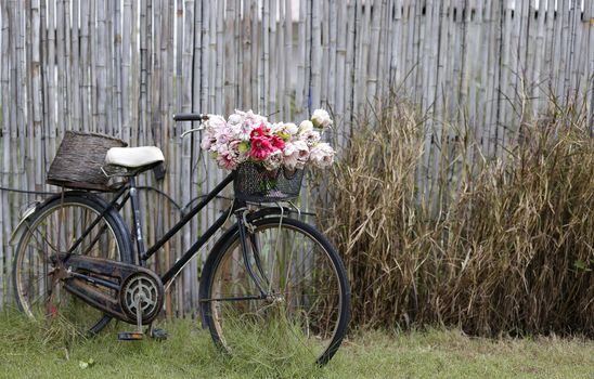 An old rusty bicycle with bouquet of flowers in the front basket. Bicycle stands in front of an old bamboo wall.
