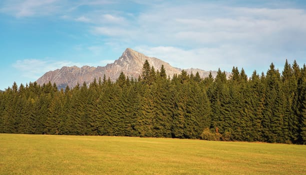 Mount Krivan peak Slovak symbol wide panorama with autumn meadow in foreground, Typical autumnal scenery of Liptov region, Slovakia.