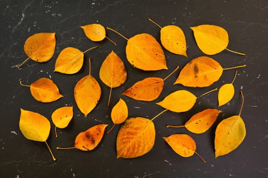 Orange coloured autumn leaves on black marble like board, view from above.