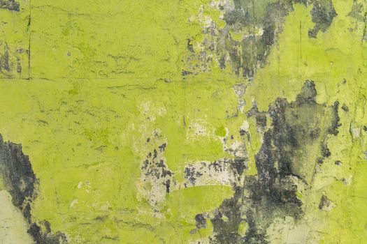 Green plsater wall with black mold background