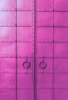 fresh painted old riveted iron double door with two rings
