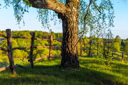 rustic view with log fence on hill