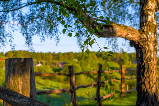 rustic view with log fence on hill