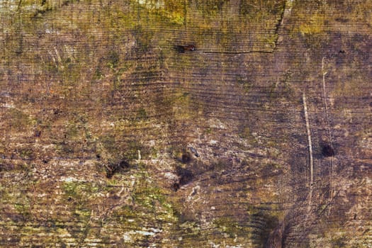 old dirty wood board with moss horizontal background