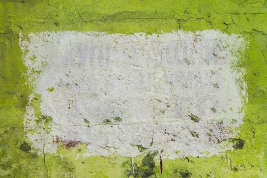 Green plsater wall with black mold background and white rectangular on it.