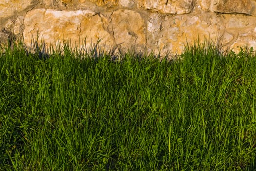 limestone wall and grass under it horizontal background