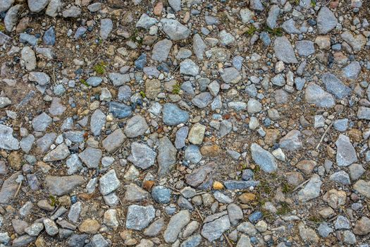 gravel lane ground texture with mixed type of stones and different dry sticks