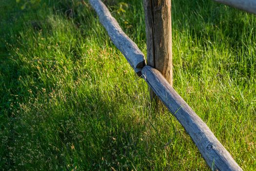 fragment of rustic log fence and fresh grass selective focus background