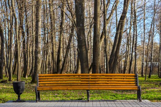empty bench in spring park front view with black trash pot on left side