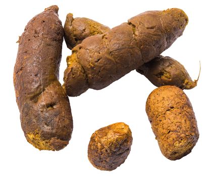 Cat poop pieces isolated on white background