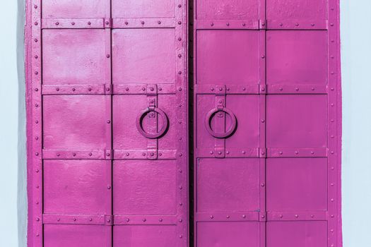 fresh painted old riveted iron double door with two rings