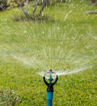 Sprinkler watering in the flowers garden.