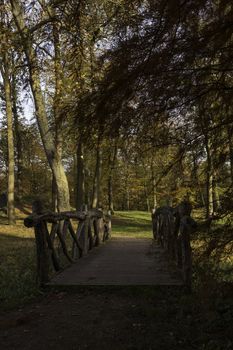 autum forest with red brown and golden colors in national park de veluwe in holland