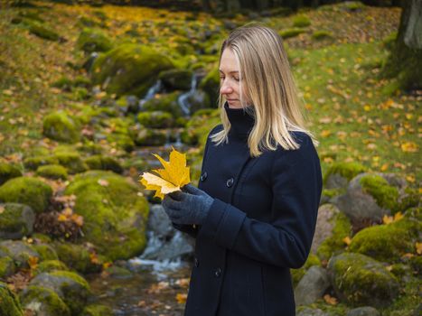 Young woman picks up fallen colorful autumn leaves. Girl collect yellow leaf. woman walking in the autumn Park