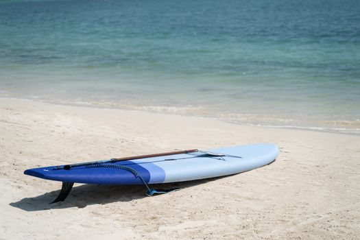 Paddle boards the sand at tropical beach, sunny day.