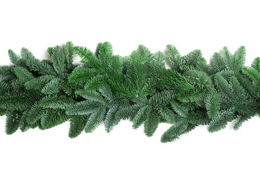 Christmas Border frame of natural noble fir tree branches isolated on white background