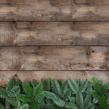 Spruce twigs on a wooden background with copy space for text flat lay top view template