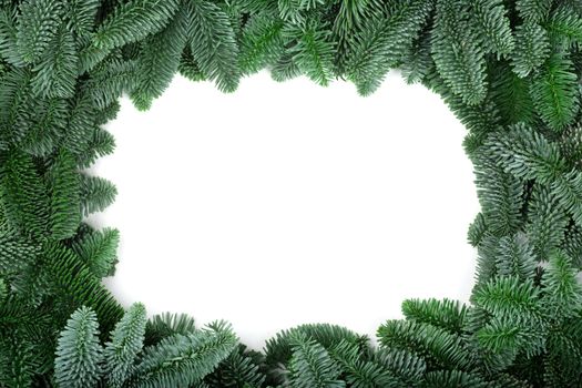 Traditional green christmas tree noble fir border frame isolated on white background copy space for text