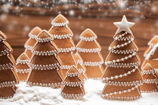 Gingerbread christmas fir trees cookies forest in snow winter holiday celebration concept