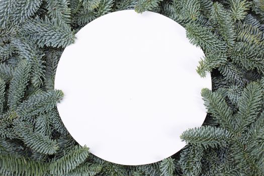 Natural fir Christmas tree round border frame isolated on white , copy space for text