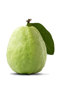 Beautiful delicious guava fruit with fresh green leaves isolated on white background, clipping path, cut out.