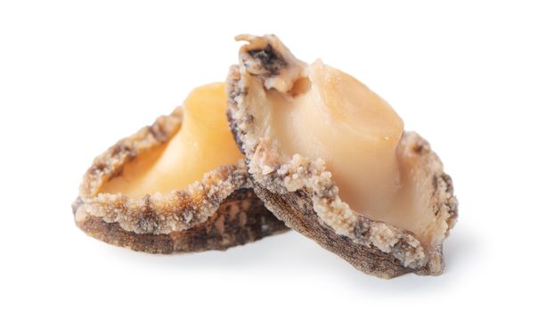 Close up of beautiful raw abalone seafood isolated on white background, clipping path cut out.