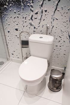 White ceramic toilet in the bathroom. Clean toilet.