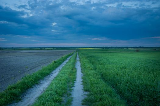 Country road through fields and dark evening clouds, summer view