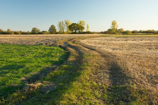 Winding dirt road through fields and trees at the horizon, october view
