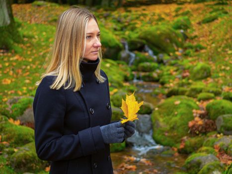 Young woman picks up fallen colorful autumn leaves. Girl collect yellow leaf. woman walking in the autumn Park