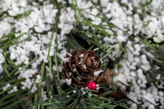 Snow covered pine cone for the Christmas holiday season in closeup view
