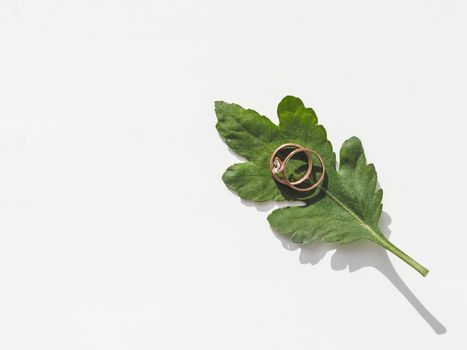 Top view on two wedding rings on green leaf. Plant with traditional jewelry accessories with laces napkin. White background with copy space.