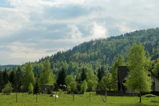 Green nature - trees, forest and mountains - fence and houses