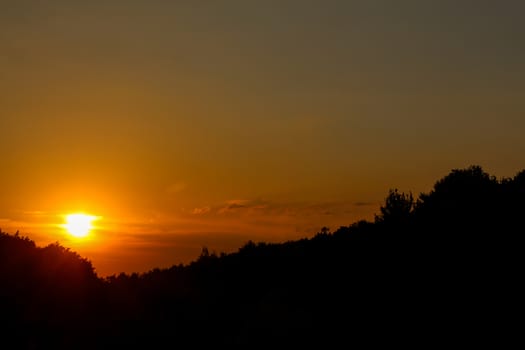 Backlit trees during sunset with cloudy sky - orange sunset