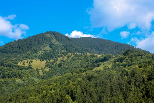 Landscape of the mountains with forest and different trees
