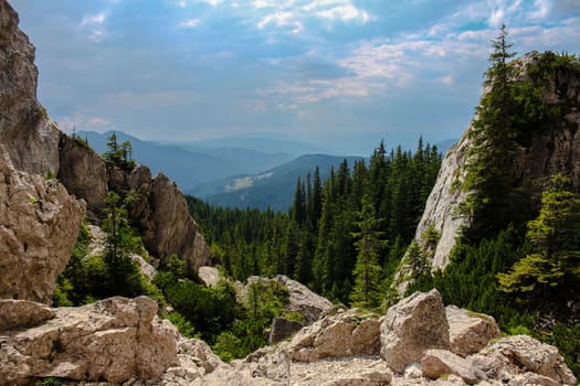 Landscape of mountains with forest and rocks around and clouds